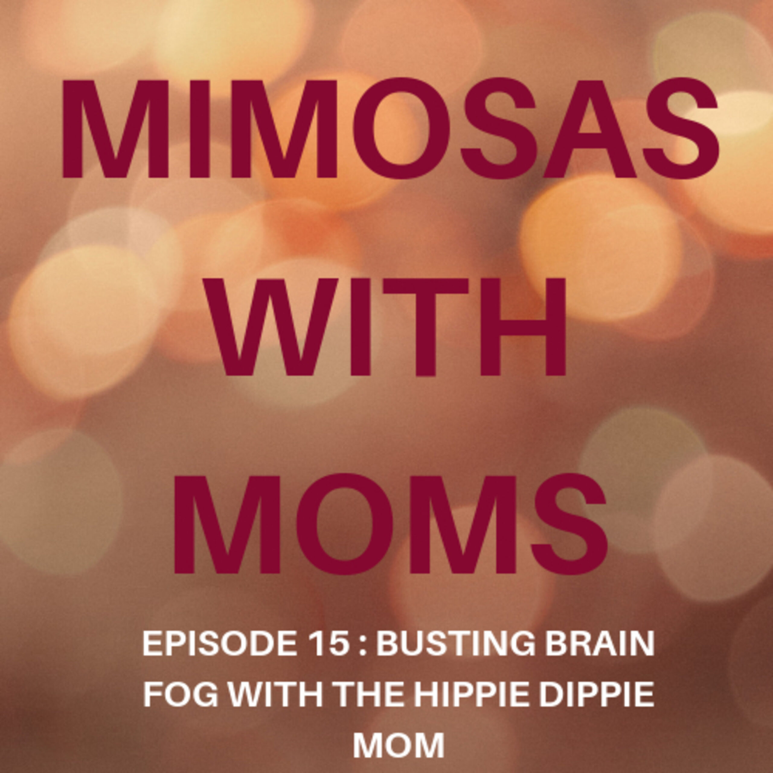 Busting Brain Fog with the Hippie Dippie Mom