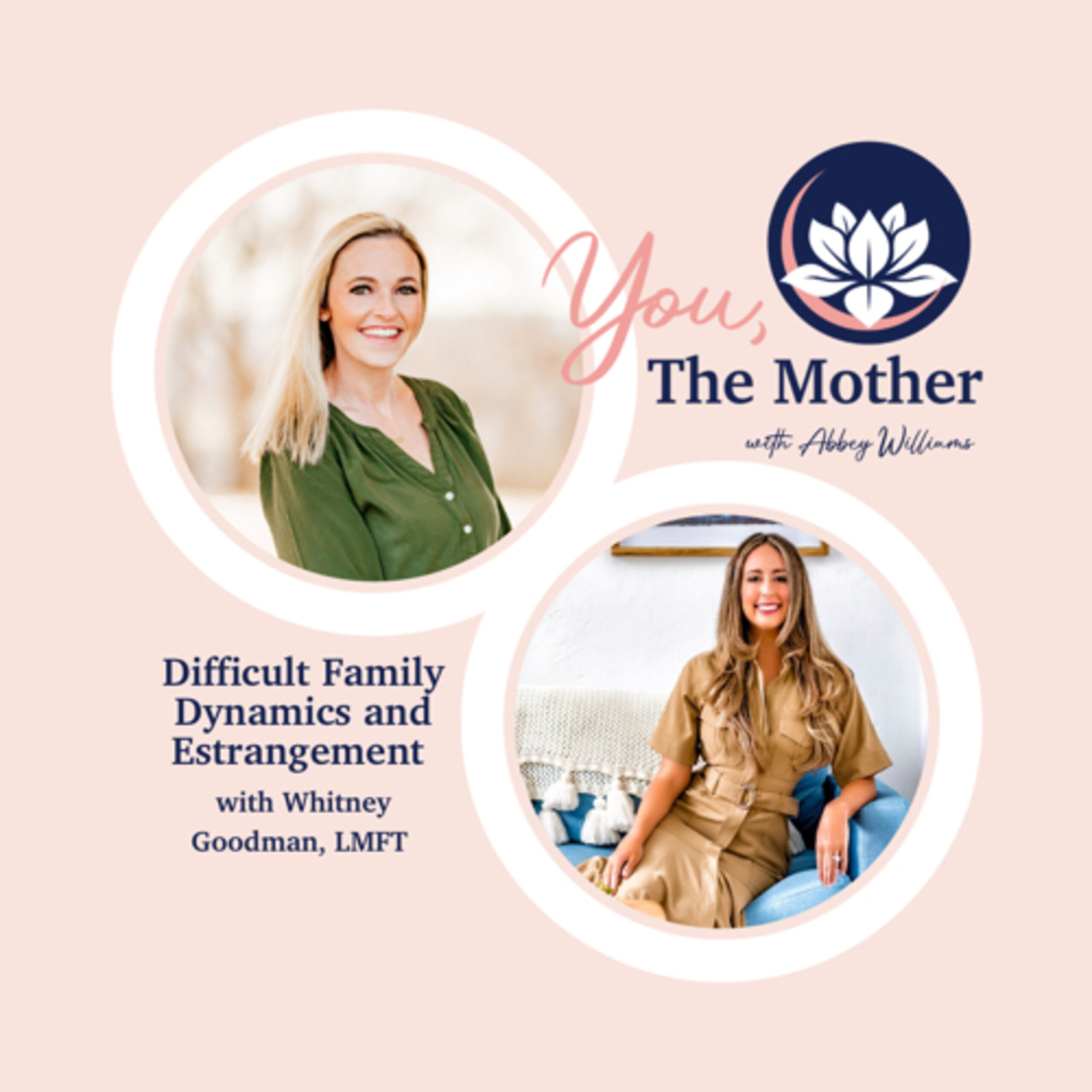Difficult Family Dynamics and Estrangement with Whitney Goodman, LMFT